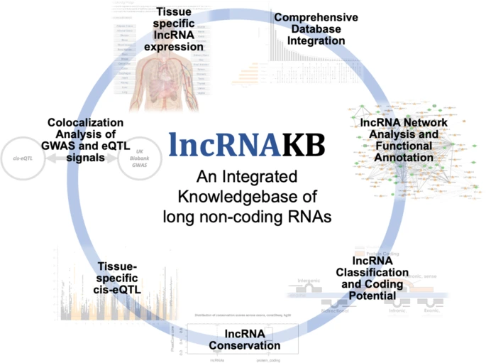 Non-CodingAnnotation