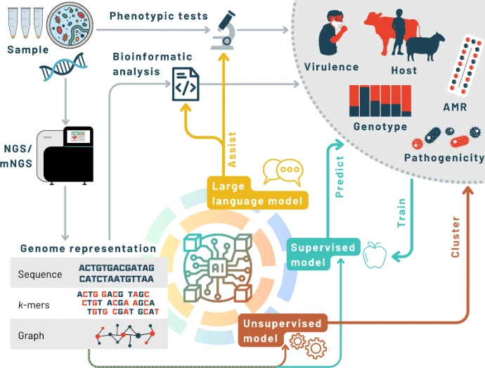 AI-AssistedInterpretation