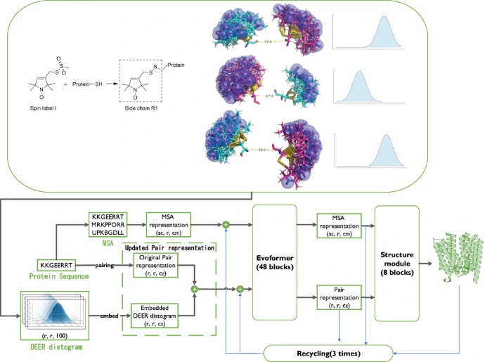 ligand_protein Illustration of induced fit – ligand binding induces a structural change in the protein's active site for optimal complementarity.