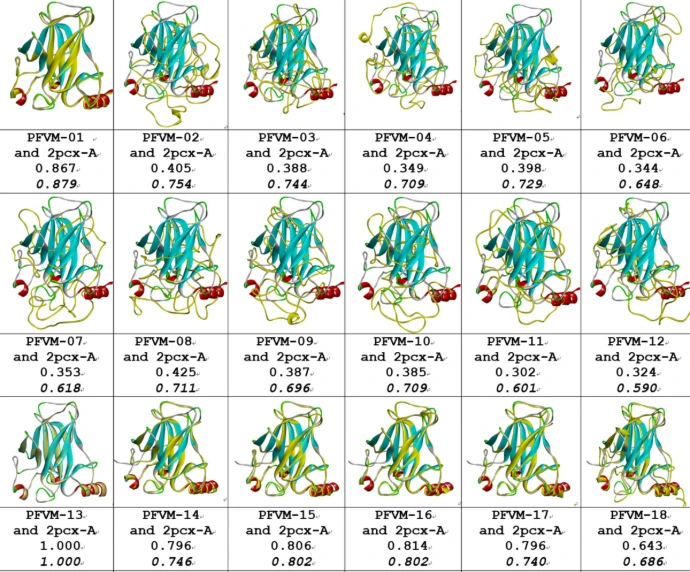 Superposition of conformational sets of a protein, illustrating the diversity of accessible states in solution
