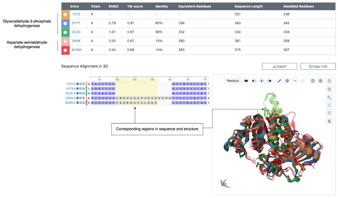 enzyme-3D Example of pairwise structural alignment from RCSB PDB, showing conserved regions in sequence and 3D structure across homologous enzymes
