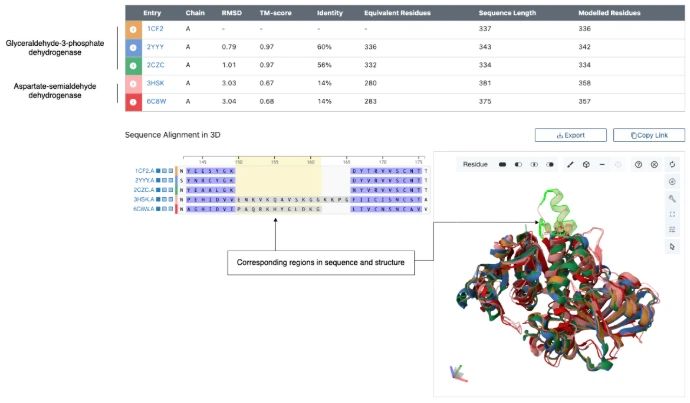 Example of pairwise structural alignment from RCSB PDB, showing conserved regions in sequence and 3D structure across homologous enzymes